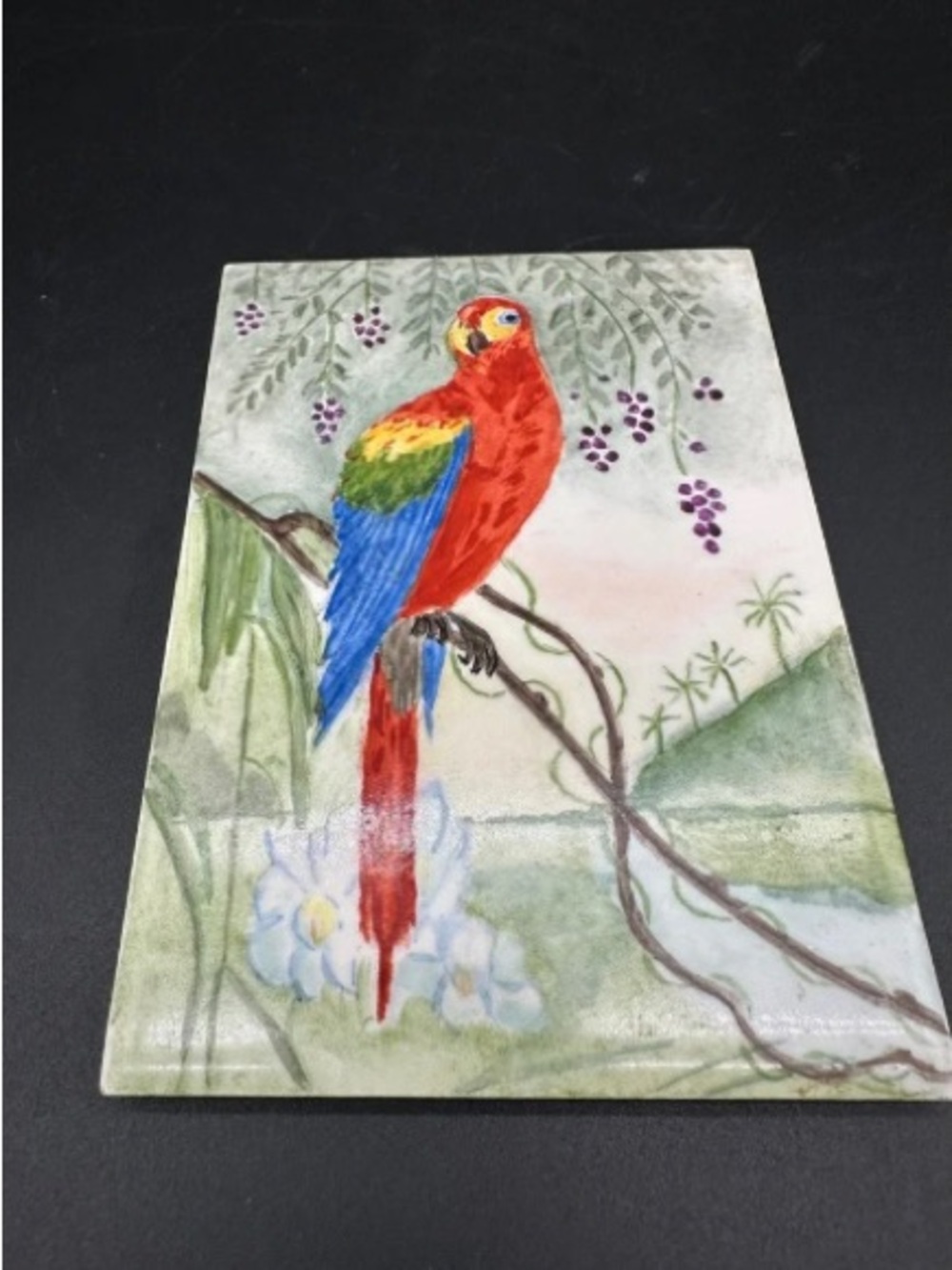 Hand Painted Scarlet Macaw Ceramic Tile Trivet Parrot Bird Art Kitchen Decor